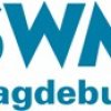 swm